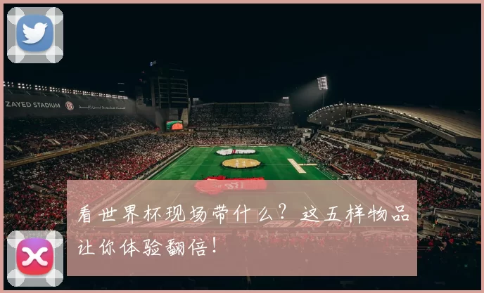 看世界杯现场带什么?这五样物品让你体验翻倍!