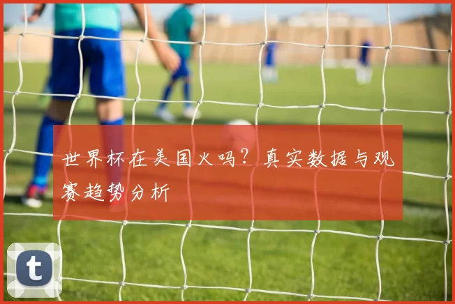 世界杯在美国火吗？真实数据与观赛趋势分析
