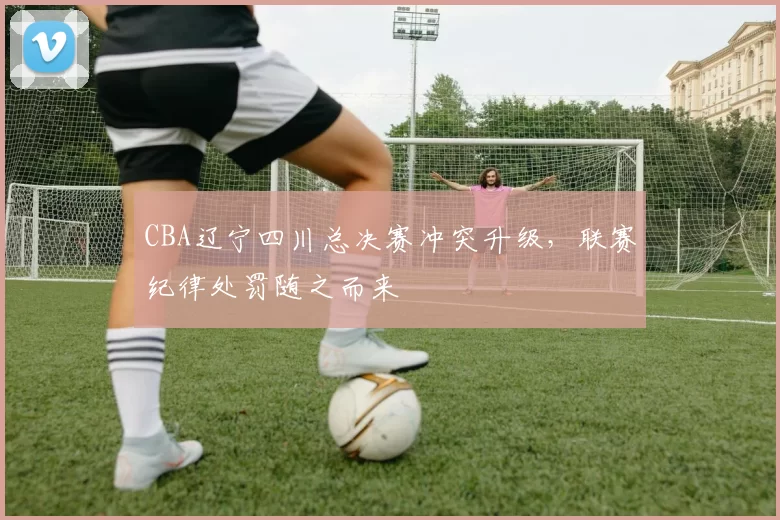 CBA辽宁四川总决赛冲突升级,联赛纪律处罚随之而来