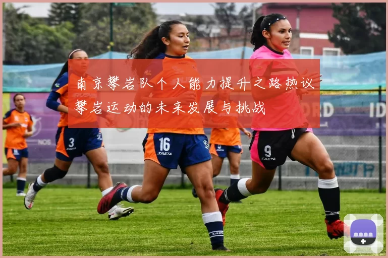 南京攀岩队个人能力提升之路热议攀岩运动的未来发展与挑战