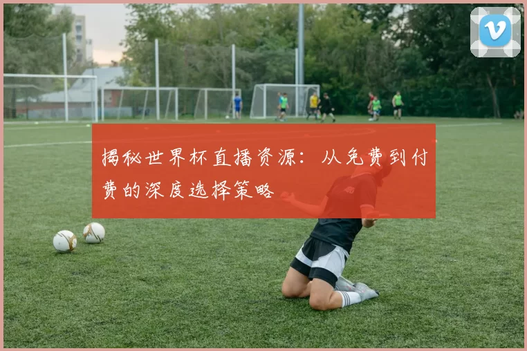 揭秘世界杯直播资源:从免费到付费的深度选择策略
