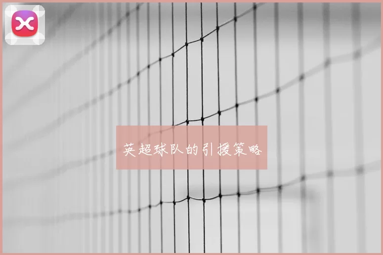 英超球队的引援策略