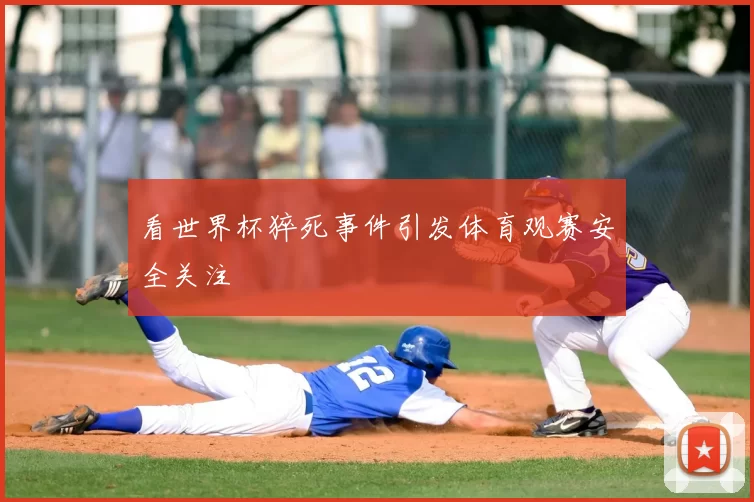 看世界杯猝死事件引发体育观赛安全关注