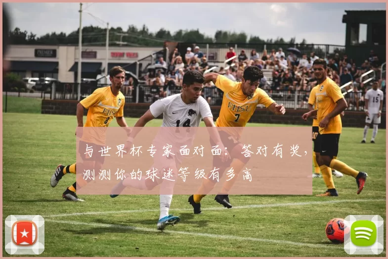 与世界杯专家面对面:答对有奖,测测你的球迷等级有多高