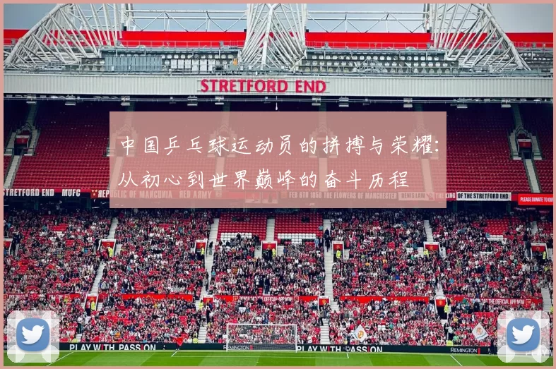 中国乒乓球运动员的拼搏与荣耀：从初心到世界巅峰的奋斗历程