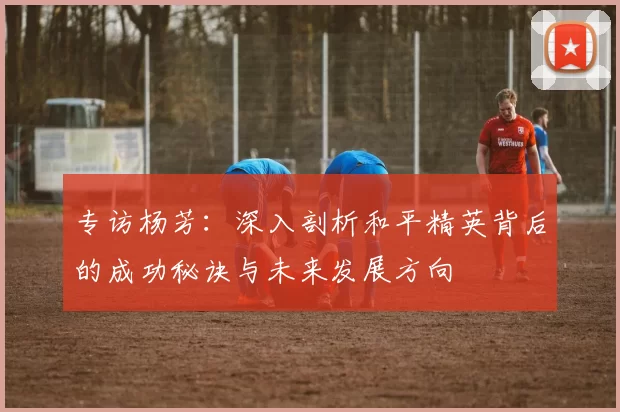 专访杨芳:深入剖析和平精英背后的成功秘诀与未来发展方向