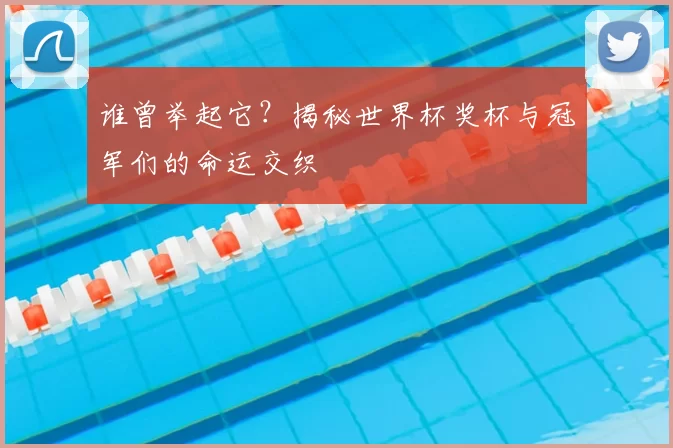 谁曾举起它?揭秘世界杯奖杯与冠军们的命运交织
