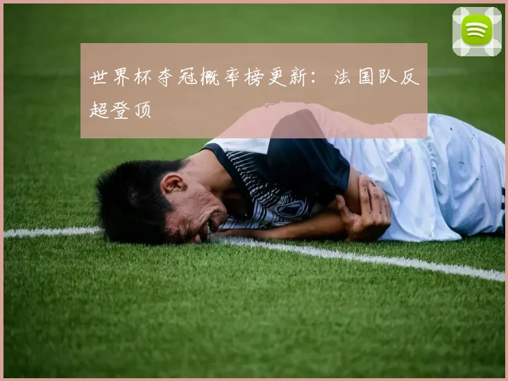 世界杯夺冠概率榜更新:法国队反超登顶
