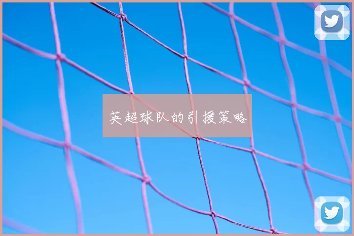 英超球队的引援策略