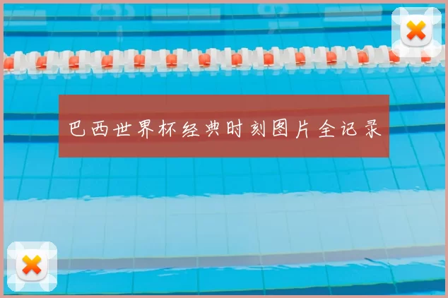 巴西世界杯经典时刻图片全记录