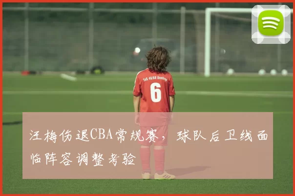 汪梅伤退CBA常规赛，球队后卫线面临阵容调整考验