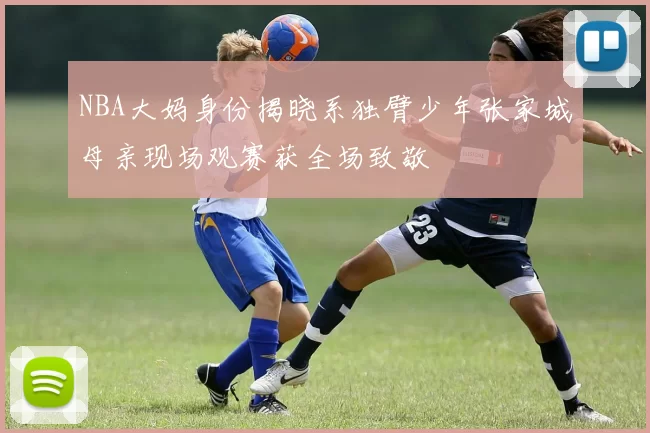 NBA大妈身份揭晓系独臂少年张家城母亲现场观赛获全场致敬