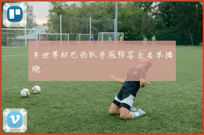 年世界杯巴西队夺冠阵容全名单揭晓