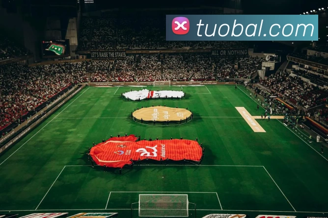 App Interface Preview